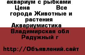 аквариум с рыбками › Цена ­ 15 000 - Все города Животные и растения » Аквариумистика   . Владимирская обл.,Радужный г.